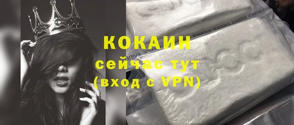 спайс Горняк