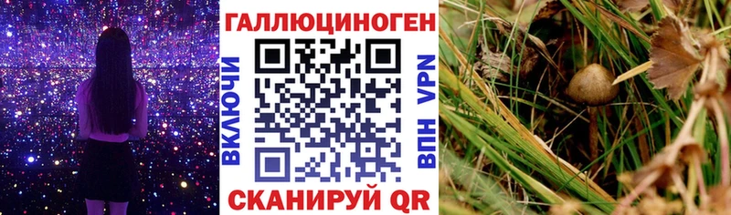 Псилоцибиновые грибы Psilocybine cubensis  omg ССЫЛКА  Долинск 